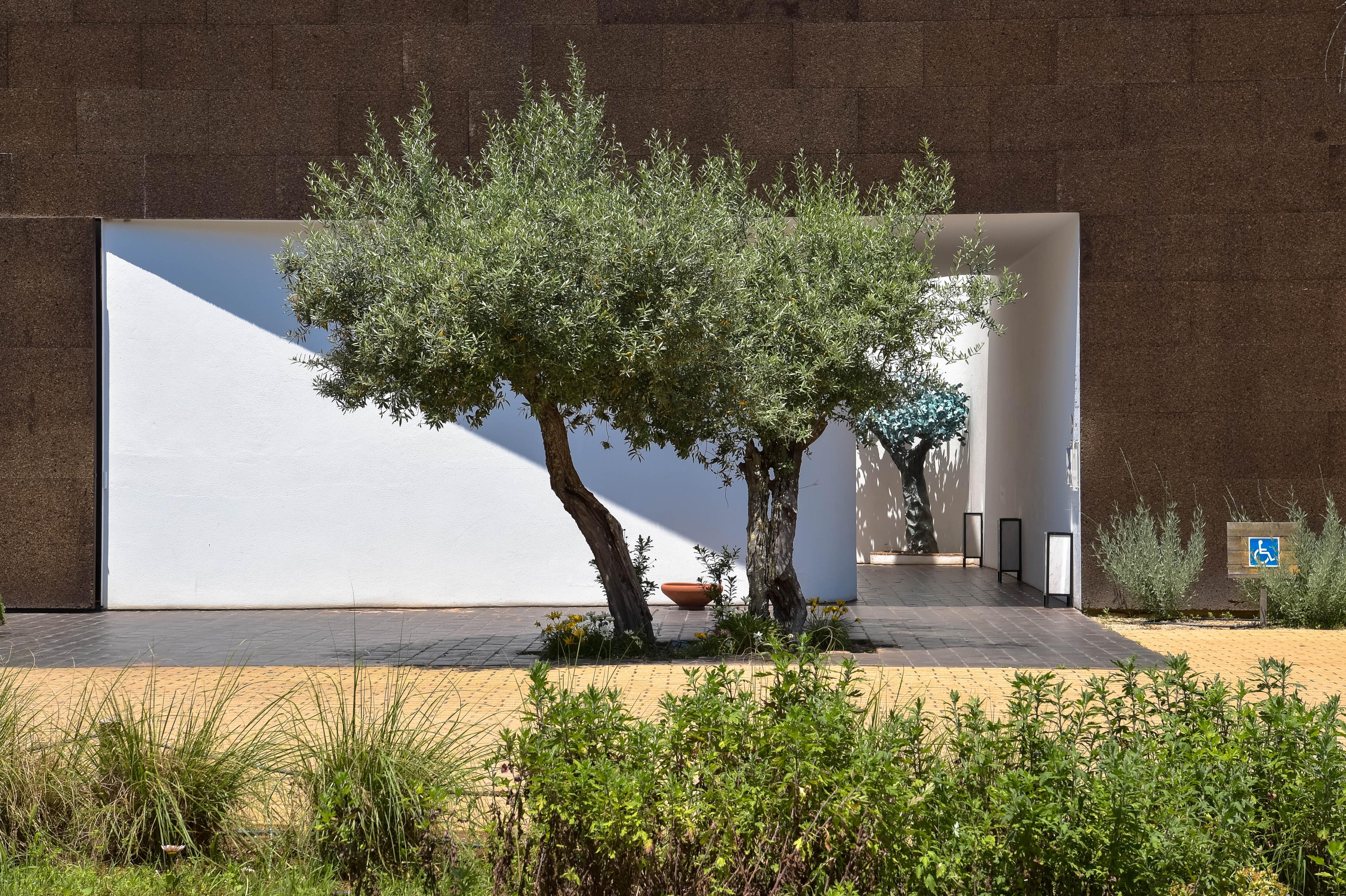The Lince Ecorkhotel Évora Exterior foto